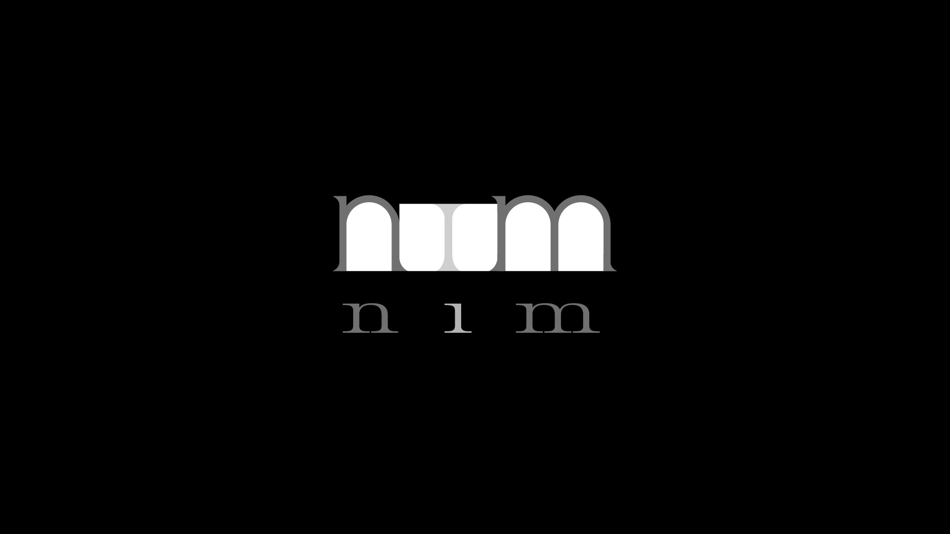 nim-logo-animation